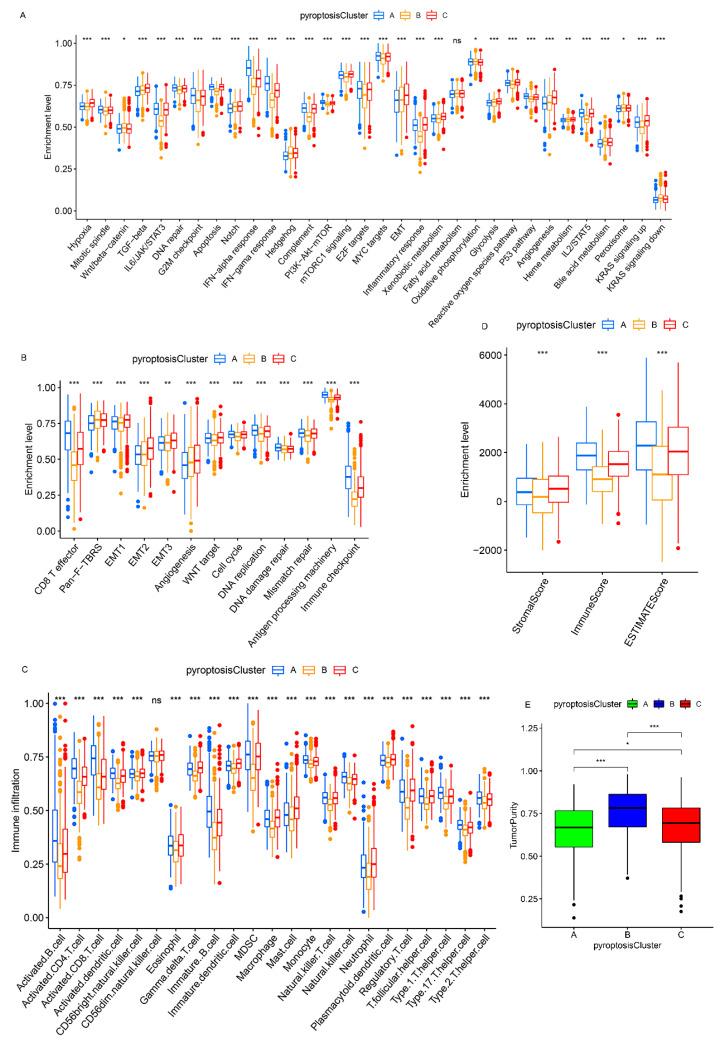 https://cdn.ncbi.nlm.nih.gov/pmc/blobs/7ee5/8535973/29cd38c73db6/genes-12-01535-g003.jpg
