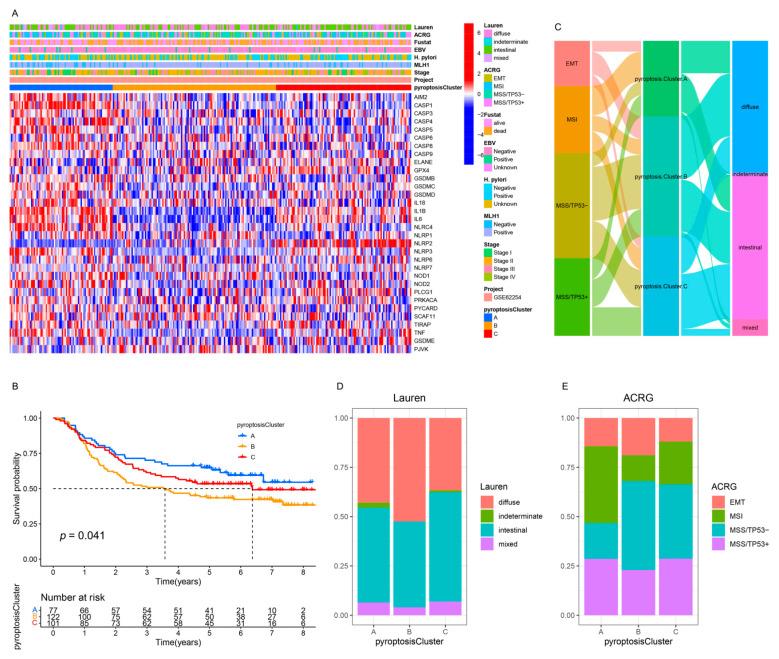 https://cdn.ncbi.nlm.nih.gov/pmc/blobs/7ee5/8535973/2bb1d192698b/genes-12-01535-g004.jpg