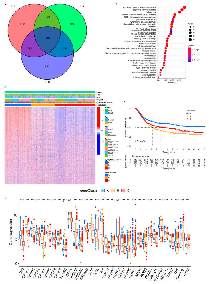 https://cdn.ncbi.nlm.nih.gov/pmc/blobs/7ee5/8535973/50ad2f3ca44f/genes-12-01535-g005.jpg