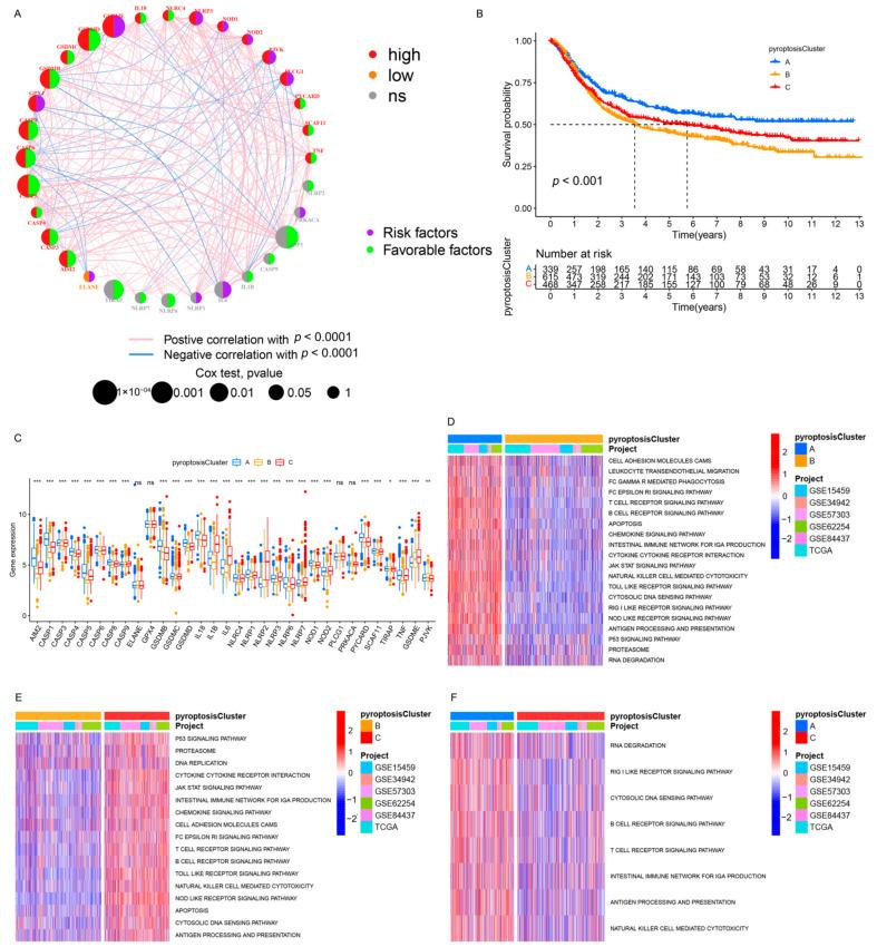 https://cdn.ncbi.nlm.nih.gov/pmc/blobs/7ee5/8535973/6738ade1a8e6/genes-12-01535-g002.jpg
