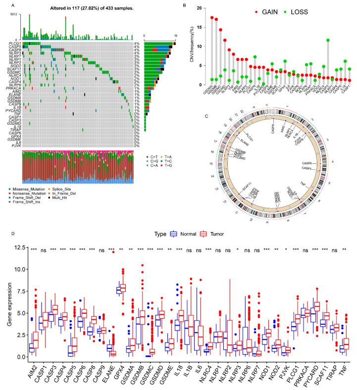 https://cdn.ncbi.nlm.nih.gov/pmc/blobs/7ee5/8535973/8a946b6a3f8d/genes-12-01535-g001.jpg