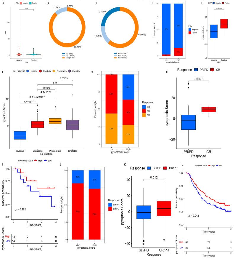 https://cdn.ncbi.nlm.nih.gov/pmc/blobs/7ee5/8535973/e47c1ec81819/genes-12-01535-g008.jpg