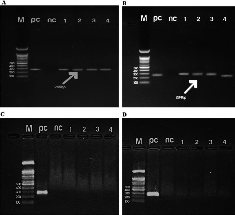 https://cdn.ncbi.nlm.nih.gov/pmc/blobs/7ee5/9153211/4b2533f56f82/12879_2022_7478_Fig3_HTML.jpg