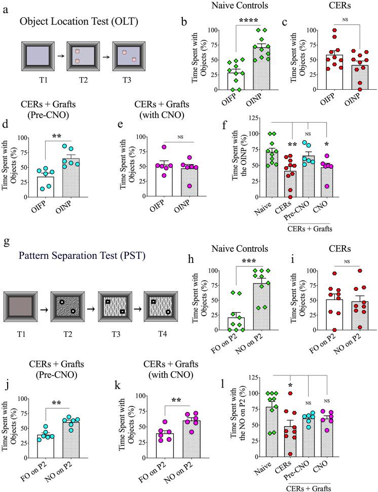 https://cdn.ncbi.nlm.nih.gov/pmc/blobs/7ee5/9343458/ab4787807258/41536_2022_234_Fig5_HTML.jpg