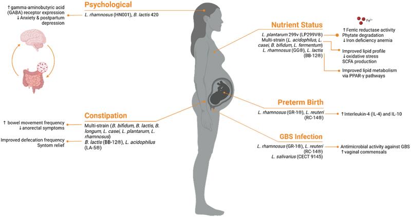 https://cdn.ncbi.nlm.nih.gov/pmc/blobs/7ee6/12101587/b9a238bc1e28/KGMI_A_2501186_F0002_OC.jpg