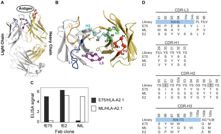 https://cdn.ncbi.nlm.nih.gov/pmc/blobs/7ee7/3423377/46ae372e5388/pone.0043746.g001.jpg