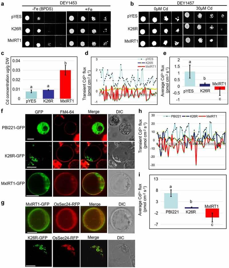 https://cdn.ncbi.nlm.nih.gov/pmc/blobs/7ee7/9255258/99c522c8a6a1/KPSB_A_2095141_F0004_OC.jpg