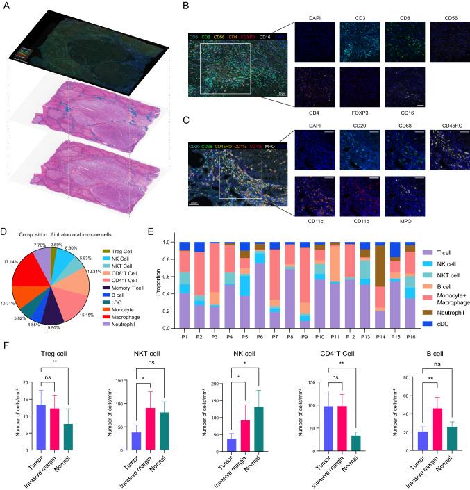https://cdn.ncbi.nlm.nih.gov/pmc/blobs/7ee8/10386986/1e5d849bc9c3/12072_2023_10511_Fig5_HTML.jpg