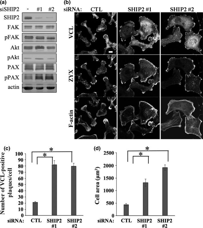 https://cdn.ncbi.nlm.nih.gov/pmc/blobs/7ee8/5448597/3926fb97a0e6/CAS-108-941-g001.jpg