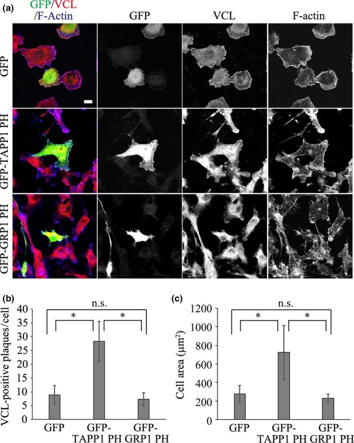 https://cdn.ncbi.nlm.nih.gov/pmc/blobs/7ee8/5448597/5b5c929318ec/CAS-108-941-g007.jpg