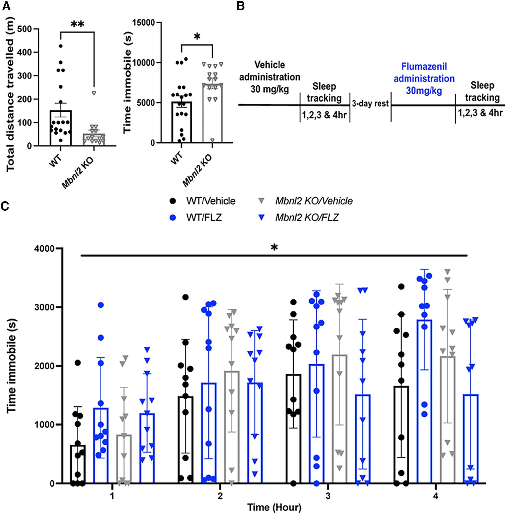 https://cdn.ncbi.nlm.nih.gov/pmc/blobs/7ee9/9557336/bd92901e34b2/ENEURO.0218-22.2022_f005.jpg