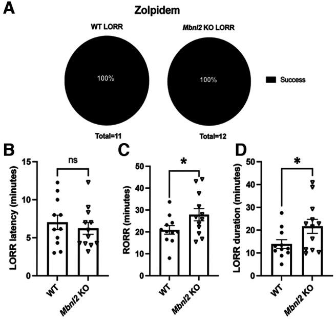 https://cdn.ncbi.nlm.nih.gov/pmc/blobs/7ee9/9557336/de28421fc23f/ENEURO.0218-22.2022_f004.jpg