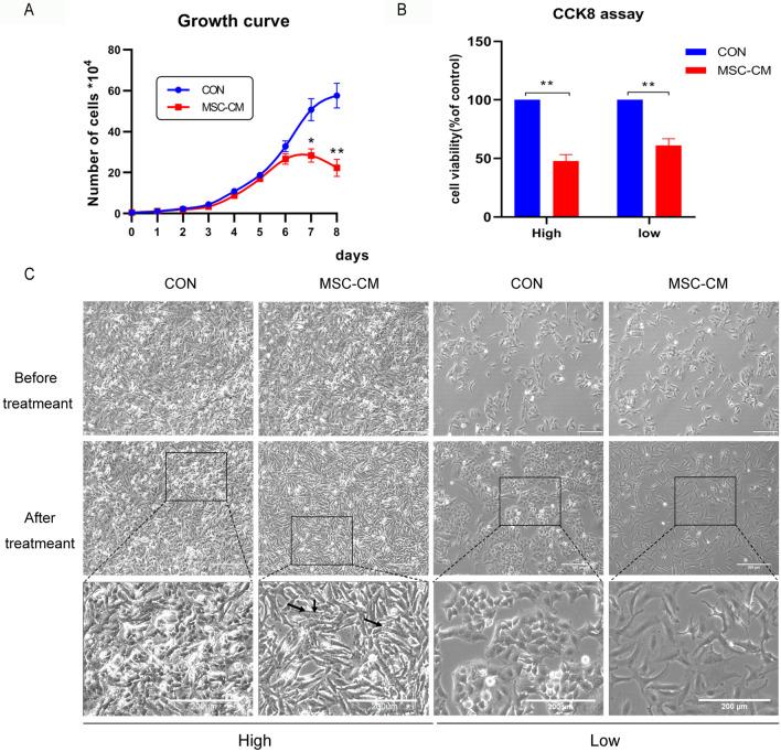 https://cdn.ncbi.nlm.nih.gov/pmc/blobs/7eeb/10029233/183a0be0a98e/13287_2023_3273_Fig2_HTML.jpg