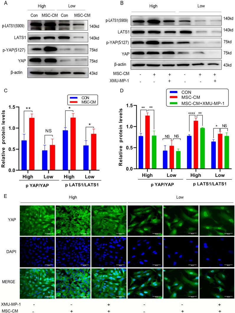 https://cdn.ncbi.nlm.nih.gov/pmc/blobs/7eeb/10029233/57d3be56c4c7/13287_2023_3273_Fig6_HTML.jpg