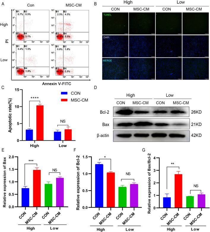 https://cdn.ncbi.nlm.nih.gov/pmc/blobs/7eeb/10029233/6ce6f151ce69/13287_2023_3273_Fig4_HTML.jpg