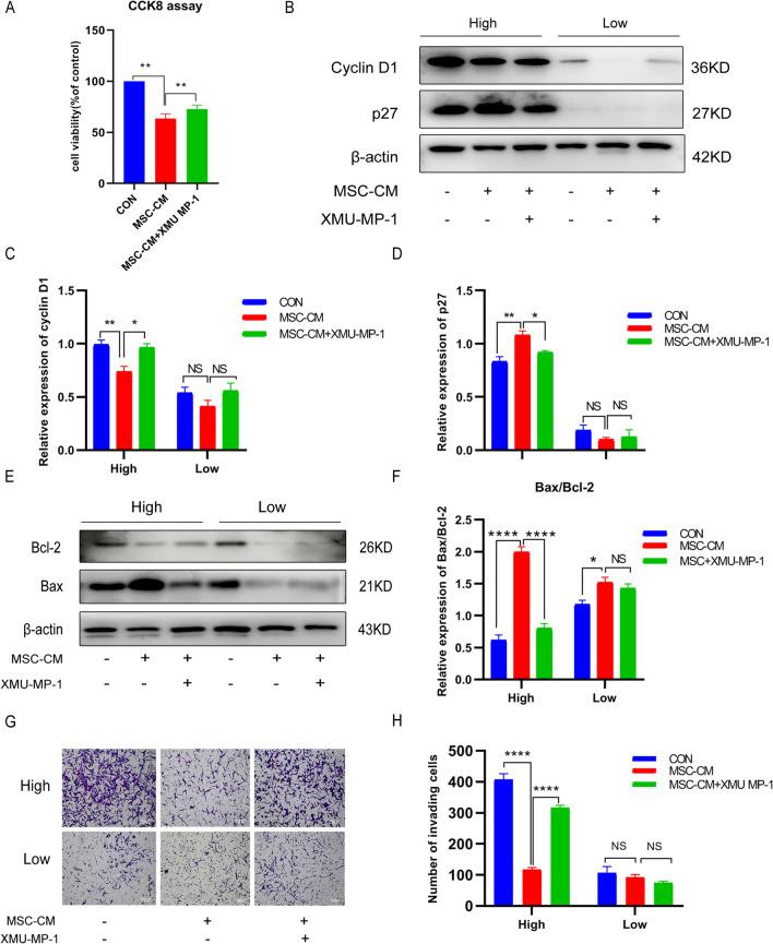 https://cdn.ncbi.nlm.nih.gov/pmc/blobs/7eeb/10029233/6fd7e2f59270/13287_2023_3273_Fig7_HTML.jpg