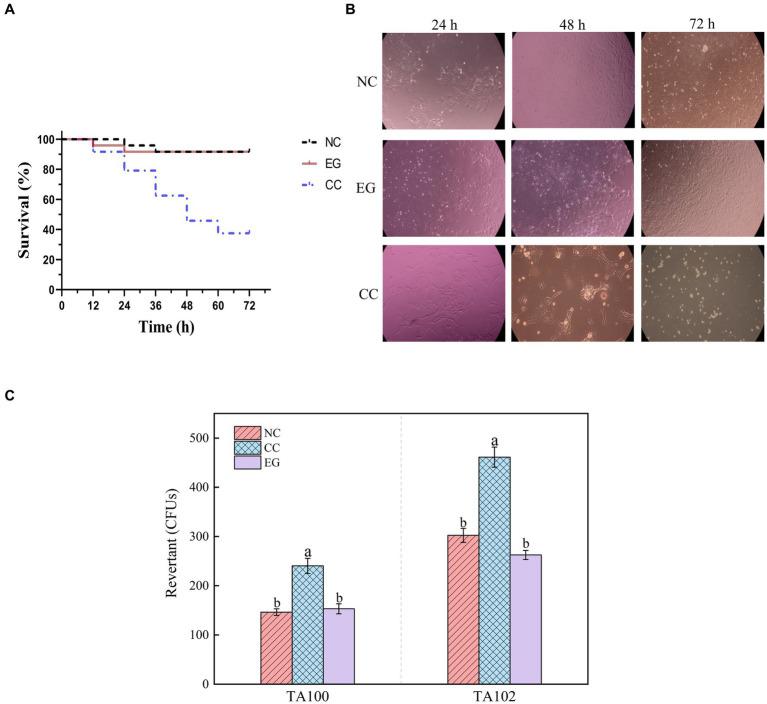 https://cdn.ncbi.nlm.nih.gov/pmc/blobs/7ef1/11094616/516fa7206e20/fmicb-15-1367297-g004.jpg