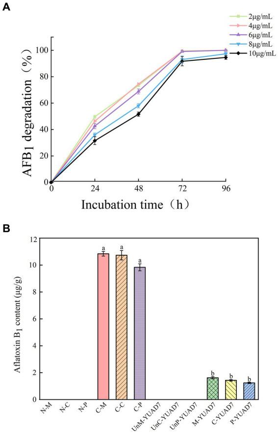 https://cdn.ncbi.nlm.nih.gov/pmc/blobs/7ef1/11094616/aa7adbeb5d70/fmicb-15-1367297-g001.jpg