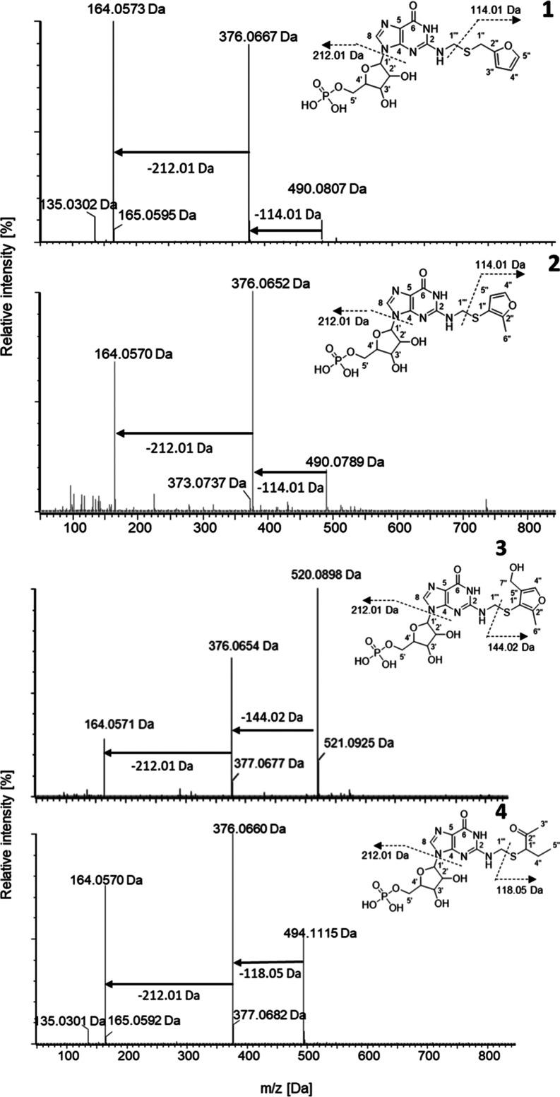 https://cdn.ncbi.nlm.nih.gov/pmc/blobs/7ef1/11212044/60119ac4ad56/jf4c03485_0001.jpg