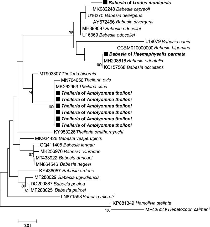 https://cdn.ncbi.nlm.nih.gov/pmc/blobs/7ef1/9869571/560857b7f860/13071_2022_5632_Fig5_HTML.jpg
