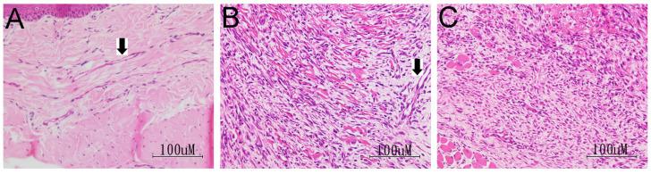 https://cdn.ncbi.nlm.nih.gov/pmc/blobs/7ef2/9785486/0f52bd1f9531/pharmaceuticals-15-01586-g007.jpg