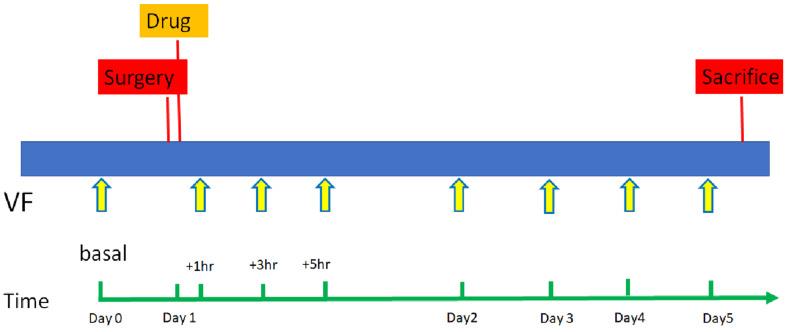 https://cdn.ncbi.nlm.nih.gov/pmc/blobs/7ef2/9785486/53e96586119e/pharmaceuticals-15-01586-g011.jpg