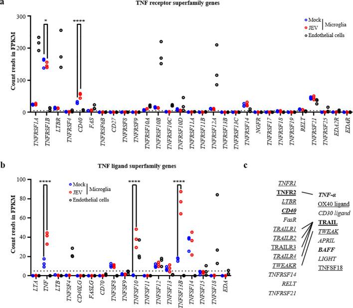https://cdn.ncbi.nlm.nih.gov/pmc/blobs/7ef3/12081440/06aee9f7c52d/fcimb-15-1580958-g005.jpg