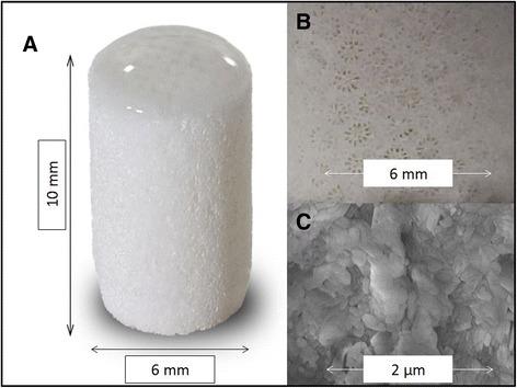 https://cdn.ncbi.nlm.nih.gov/pmc/blobs/7ef3/4486417/99c8a462bb4c/13018_2015_211_Fig1_HTML.jpg