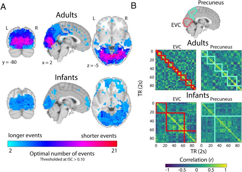 https://cdn.ncbi.nlm.nih.gov/pmc/blobs/7ef3/9618143/5197f843718a/pnas.2200257119fig02.jpg