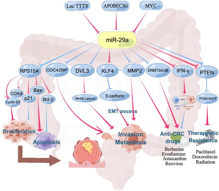 https://cdn.ncbi.nlm.nih.gov/pmc/blobs/7ef3/9941256/dd15db147a48/12094_2022_2978_Fig3_HTML.jpg