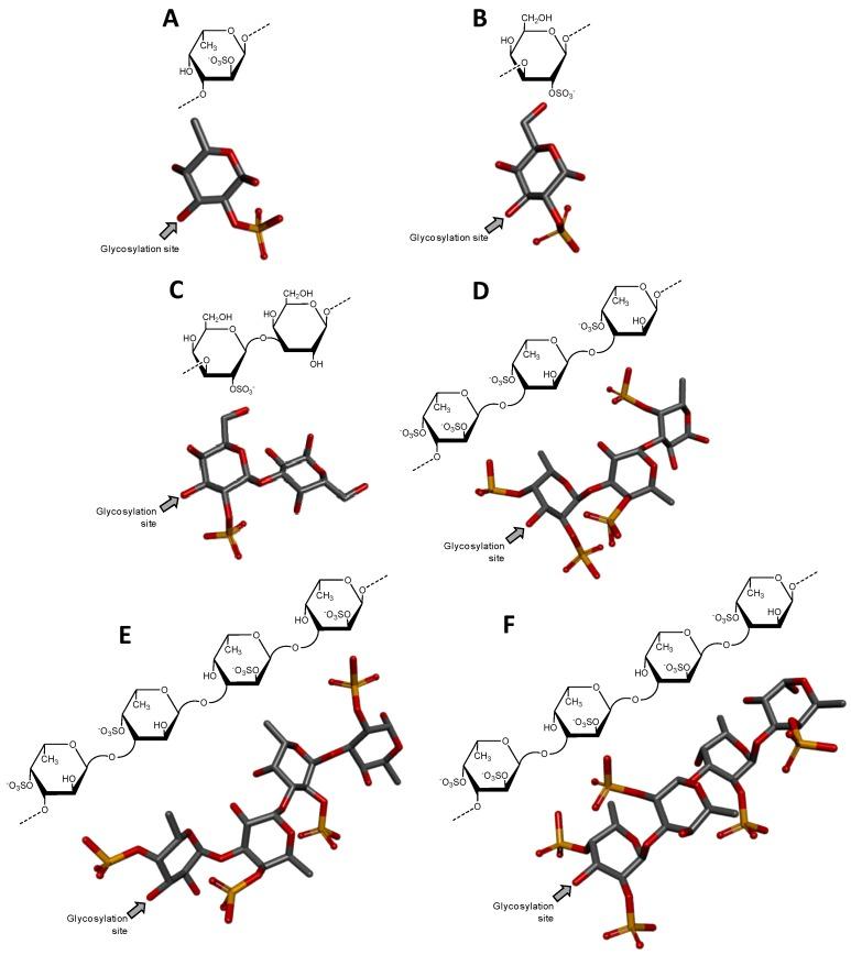 https://cdn.ncbi.nlm.nih.gov/pmc/blobs/7ef5/5620642/1ac6cfad1e9b/microorganisms-05-00051-g005.jpg
