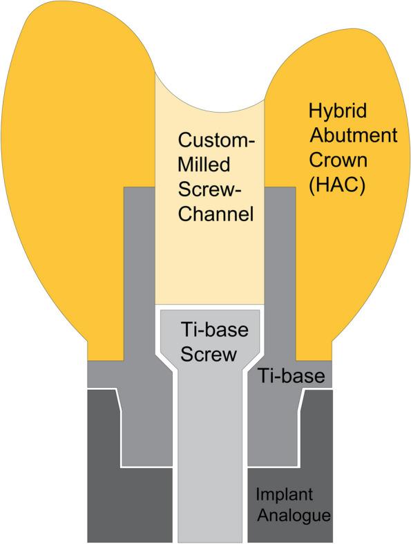 https://cdn.ncbi.nlm.nih.gov/pmc/blobs/7ef7/11391652/2c7448200c90/12903_2024_4810_Fig1_HTML.jpg