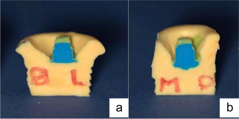 https://cdn.ncbi.nlm.nih.gov/pmc/blobs/7ef7/11391652/a89c328e0bf4/12903_2024_4810_Fig3_HTML.jpg