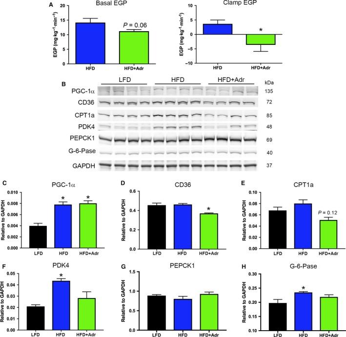 https://cdn.ncbi.nlm.nih.gov/pmc/blobs/7ef7/6474842/a197187fe4e2/PHY2-7-e14043-g004.jpg