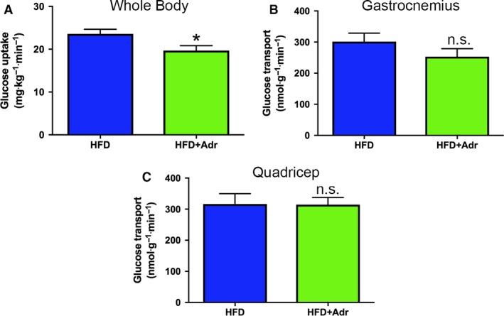 https://cdn.ncbi.nlm.nih.gov/pmc/blobs/7ef7/6474842/e3541e85ea52/PHY2-7-e14043-g003.jpg
