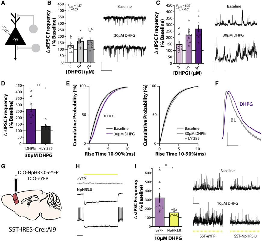 https://cdn.ncbi.nlm.nih.gov/pmc/blobs/7ef8/8628371/0e4e39eb7159/nihms-1753647-f0004.jpg