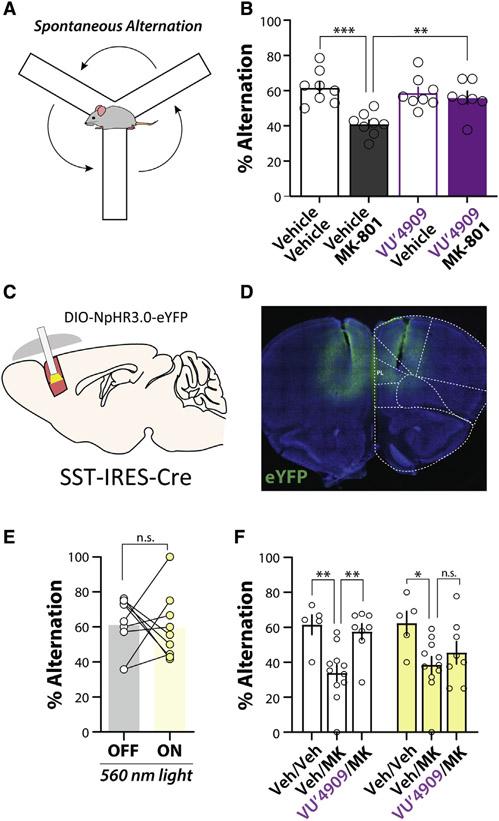 https://cdn.ncbi.nlm.nih.gov/pmc/blobs/7ef8/8628371/c134dfa8e815/nihms-1753647-f0007.jpg