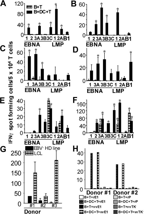 https://cdn.ncbi.nlm.nih.gov/pmc/blobs/7efa/2194129/16a5641fa39f/20030646f1.jpg