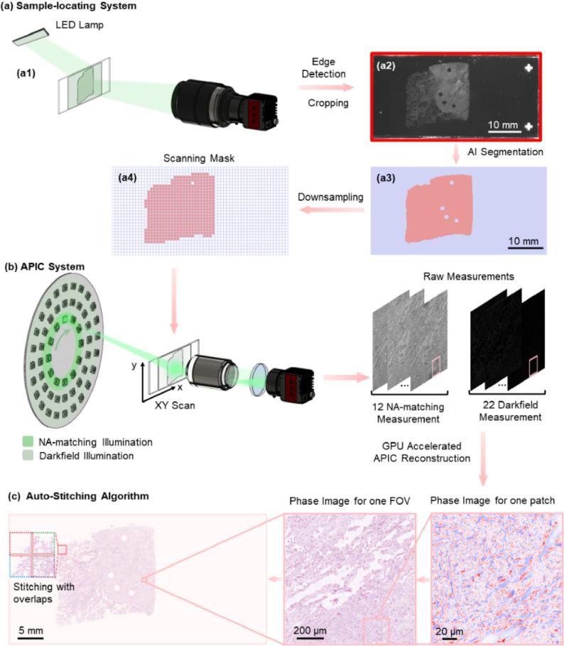 https://cdn.ncbi.nlm.nih.gov/pmc/blobs/7efb/11482188/1fa787a86ca6/boe-15-10-5739-g001.jpg