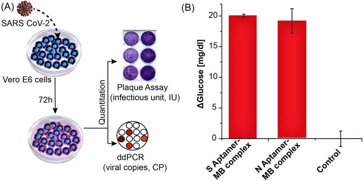 https://cdn.ncbi.nlm.nih.gov/pmc/blobs/7efb/7908832/3cd3c7a7ff41/gr4_lrg.jpg