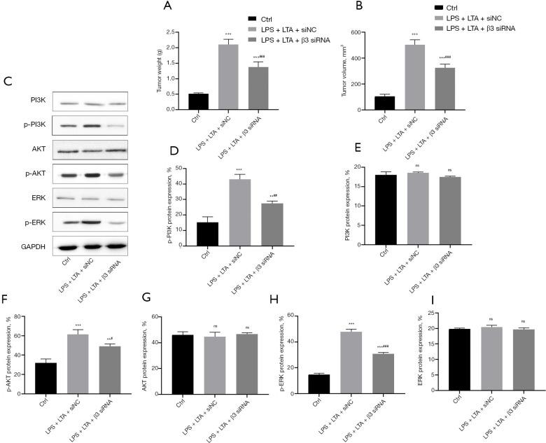 https://cdn.ncbi.nlm.nih.gov/pmc/blobs/7efc/9922606/617b143065ed/jtd-15-01-168-f11.jpg