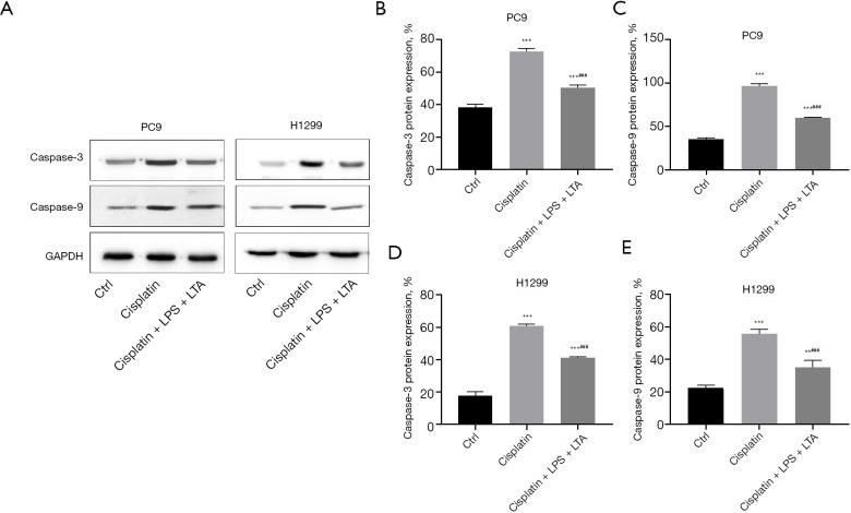 https://cdn.ncbi.nlm.nih.gov/pmc/blobs/7efc/9922606/d2955f105009/jtd-15-01-168-f7.jpg