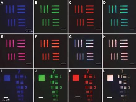 https://cdn.ncbi.nlm.nih.gov/pmc/blobs/7efe/7840120/6c0ee49d8732/abe4458-F3.jpg