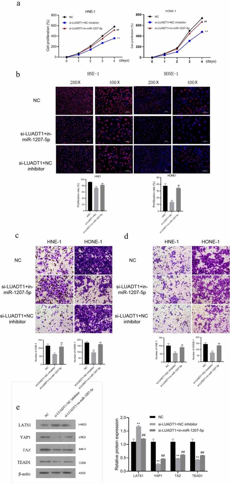https://cdn.ncbi.nlm.nih.gov/pmc/blobs/7eff/8810096/1bc1024e9441/KBIE_A_2001952_F0005_OC.jpg