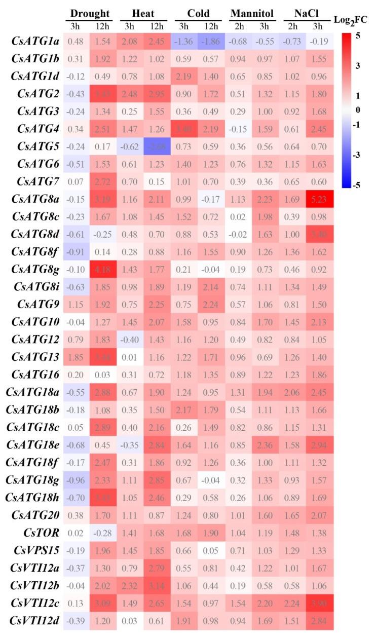 https://cdn.ncbi.nlm.nih.gov/pmc/blobs/7f00/7215763/4a074f0f5a34/ijms-21-02699-g004.jpg