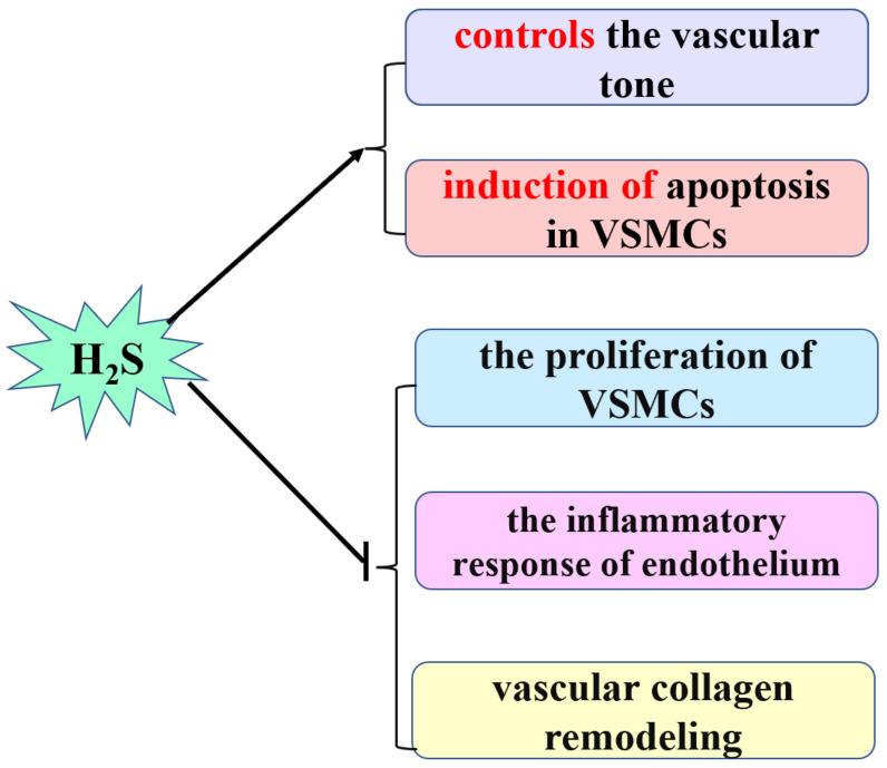 https://cdn.ncbi.nlm.nih.gov/pmc/blobs/7f00/9221447/69fdefb878bc/biomolecules-12-00772-g001.jpg