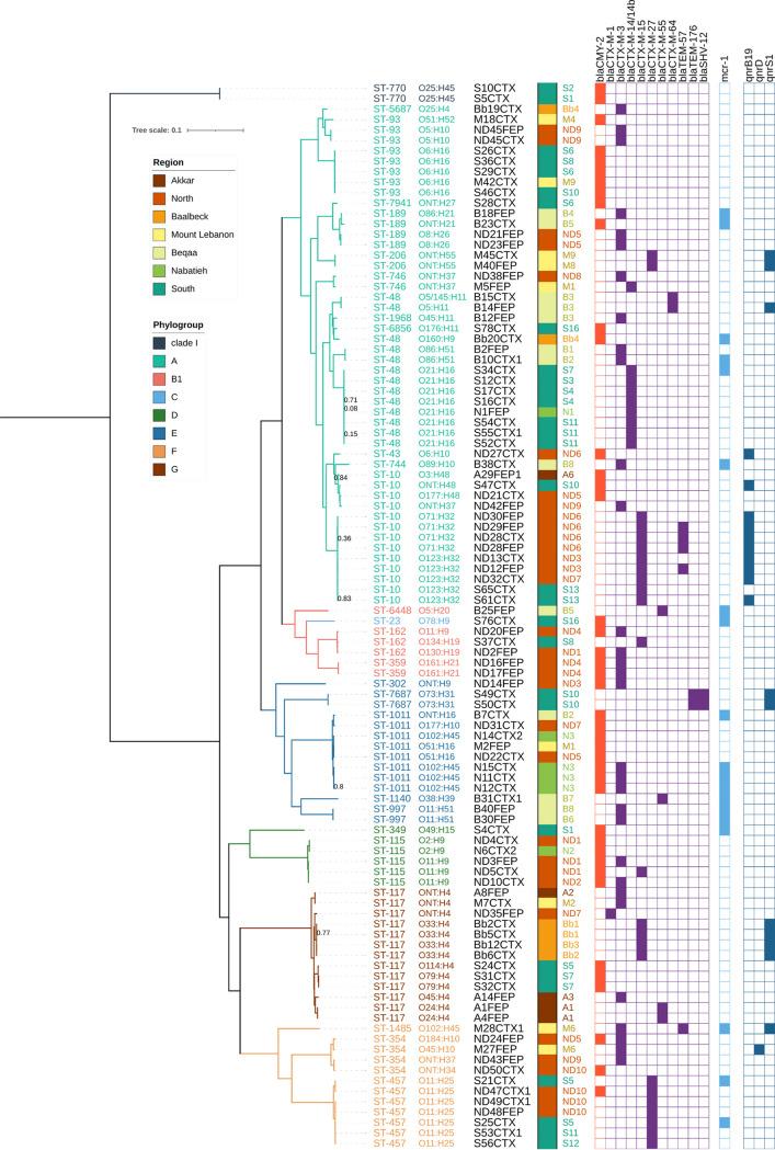https://cdn.ncbi.nlm.nih.gov/pmc/blobs/7f01/8557922/a979536d631d/spectrum.00025-21-f003.jpg