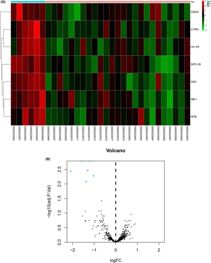https://cdn.ncbi.nlm.nih.gov/pmc/blobs/7f02/8183937/7297c4f40502/JCLA-35-e23787-g005.jpg