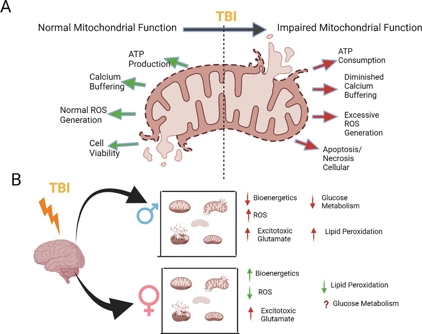 https://cdn.ncbi.nlm.nih.gov/pmc/blobs/7f03/11067689/c29b91def634/nihms-1986527-f0003.jpg