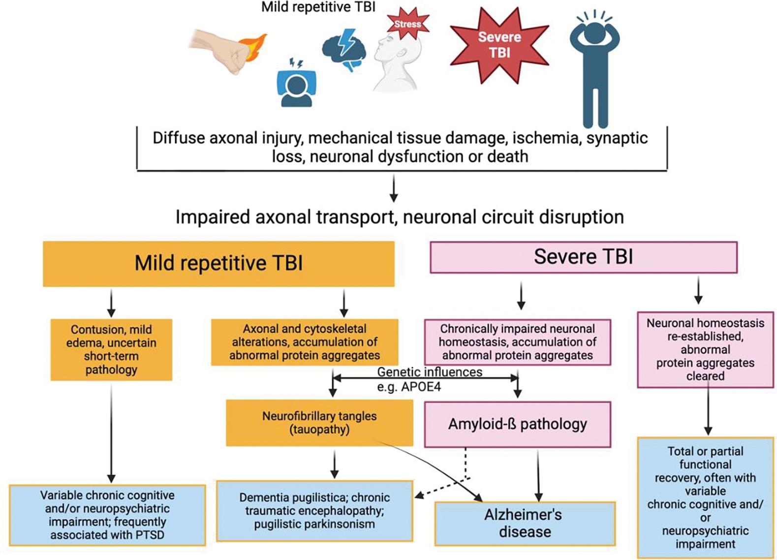 https://cdn.ncbi.nlm.nih.gov/pmc/blobs/7f03/11067689/c99eed87772b/nihms-1986527-f0001.jpg
